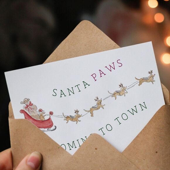 Santa Paws Christmas Cards - Picture 4 of 6